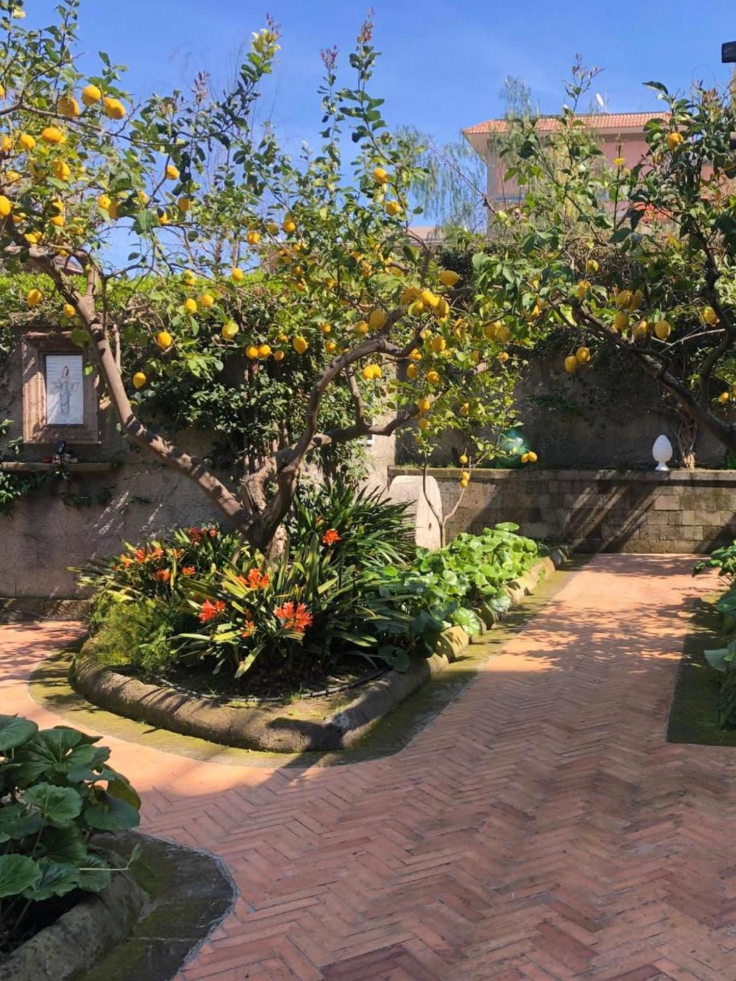 Suite Lidia B&B Península Sorrentina Exterior foto
