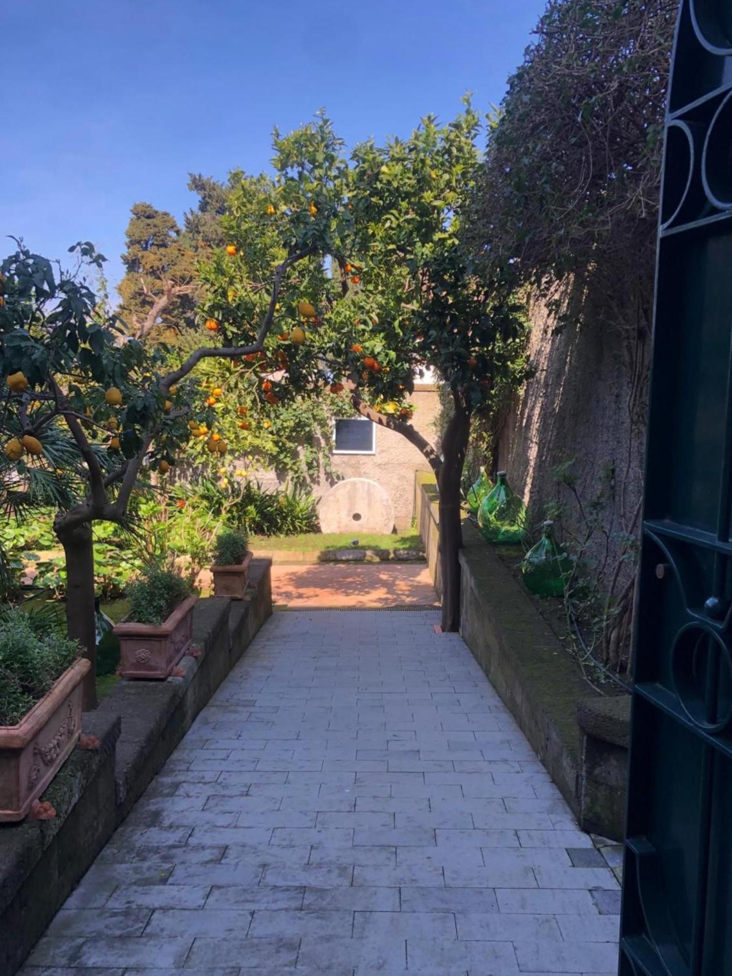 Suite Lidia B&B Península Sorrentina Exterior foto